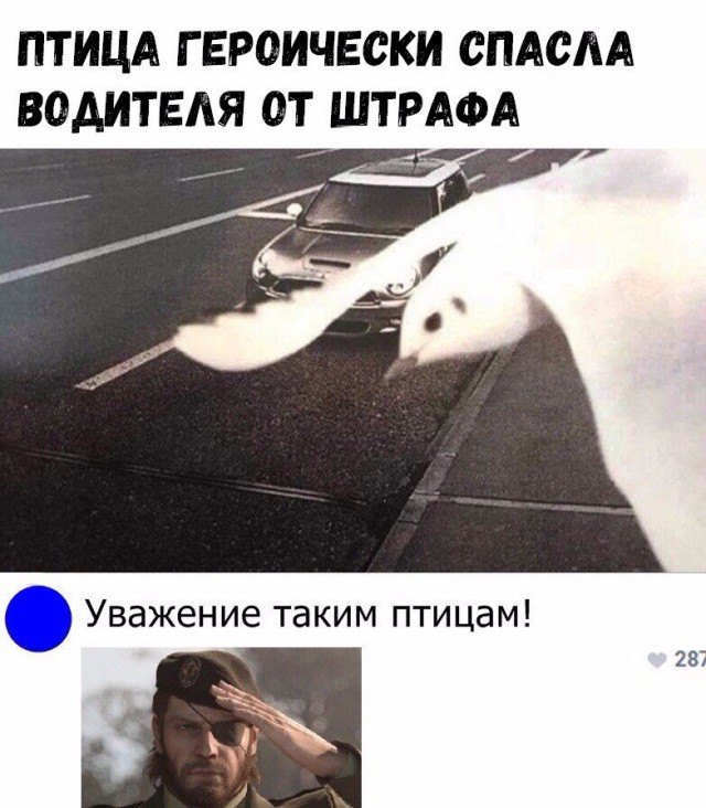 Нестандартный юмор