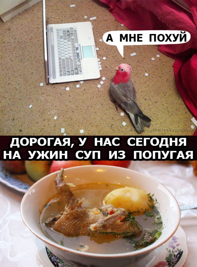 Среда... Однако, здравствуйте!