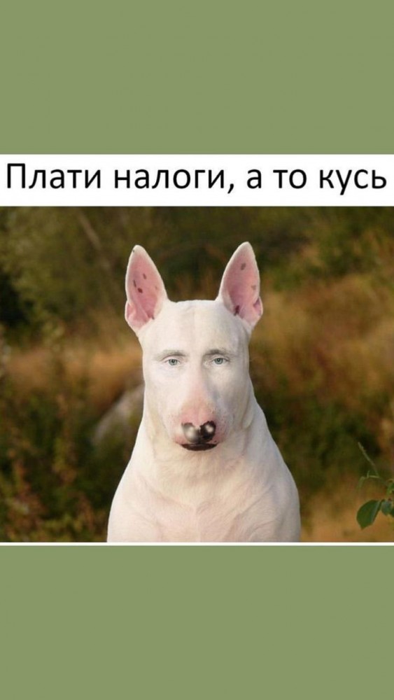 Мем плоти налоги
