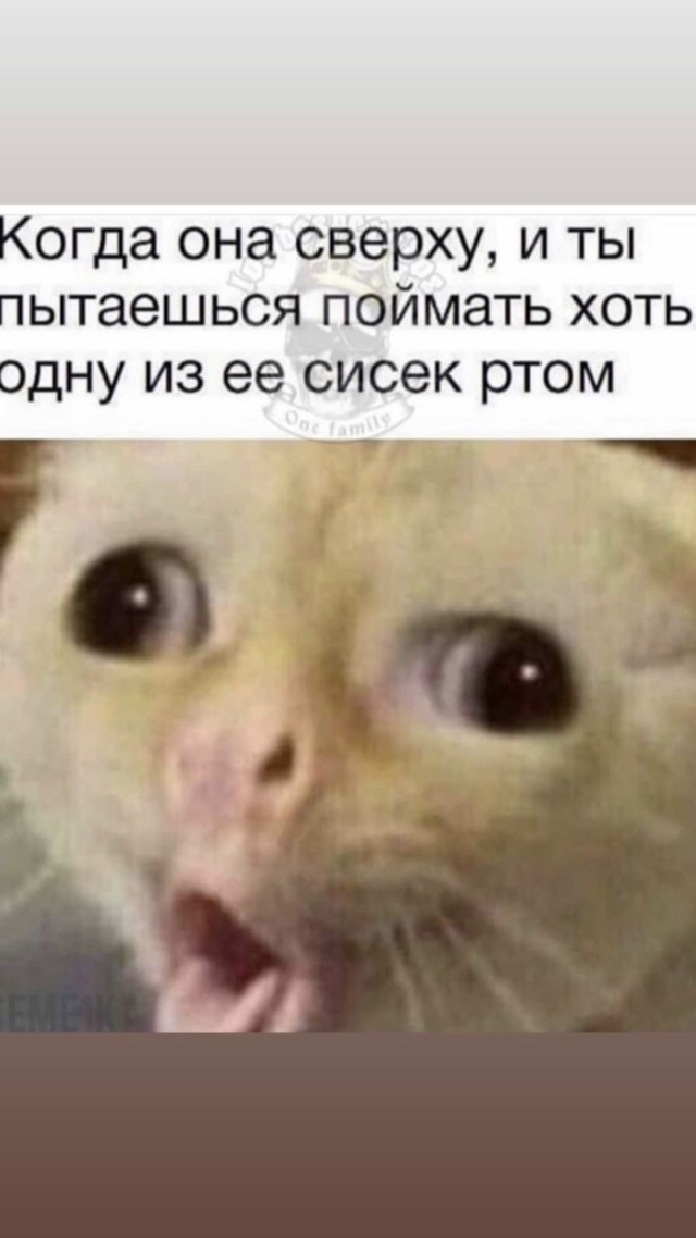 Так, что тут у нас происходит?