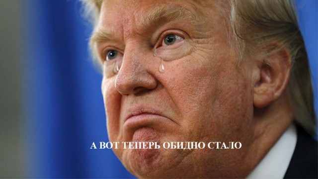 В России предложили запретить грин-карты