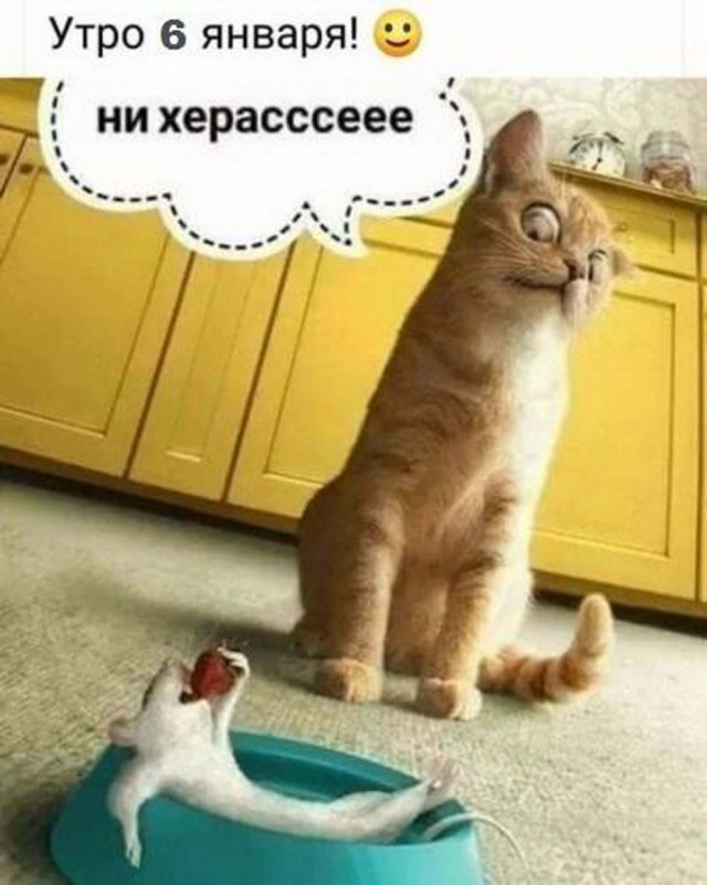 Бредзона