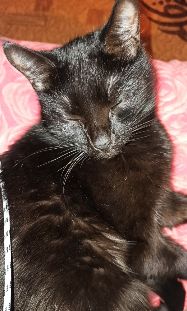 Почему хороших девочек не зовут замуж?