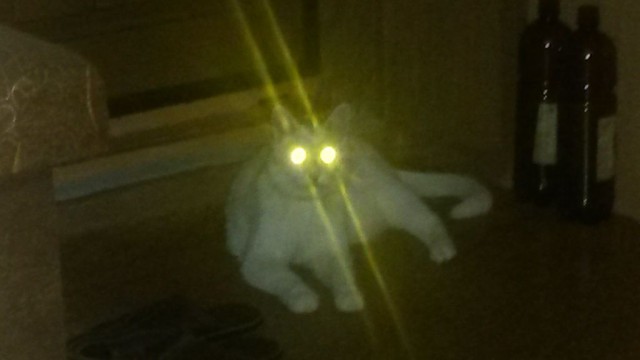 Коты с уранового рудника, надо больше урана!