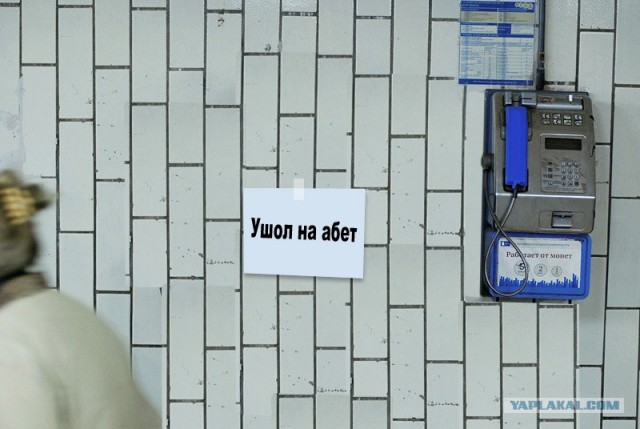 Онотоле требует спокойствия