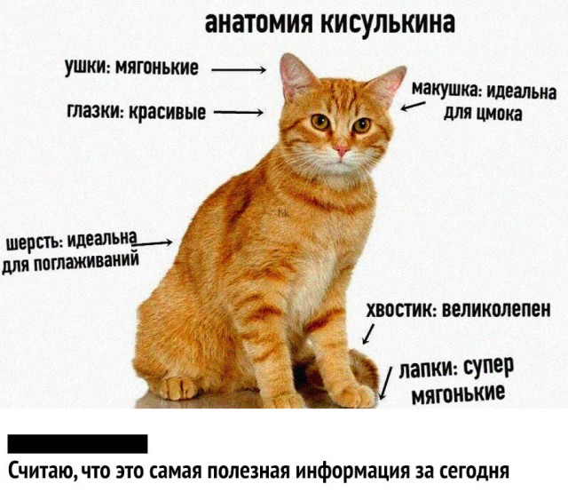 Так себе картинки 31.07.20