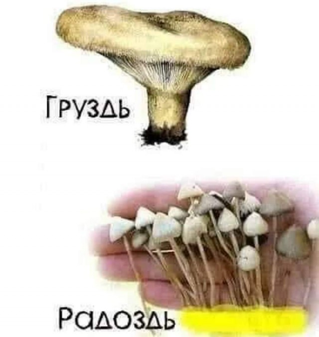 Сегодня совсем лайтово