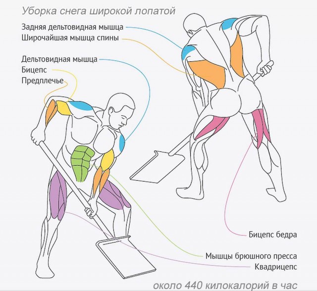 А знаете, какая средняя цена сейчас на услугу «откопать автомобиль»?