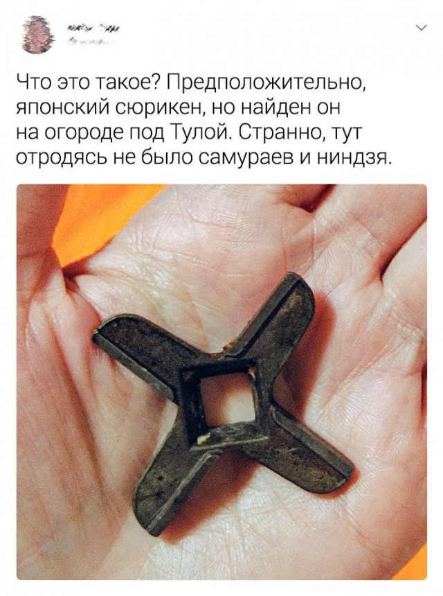 Весёлый полтишок 31.03
