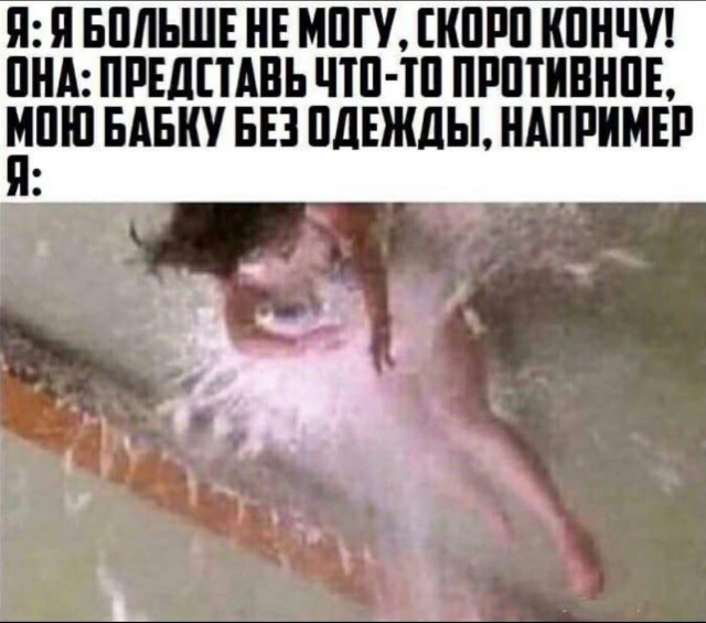 Бредзона и не только