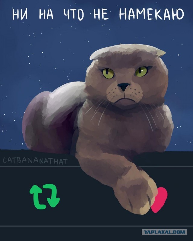 Котовторник же!