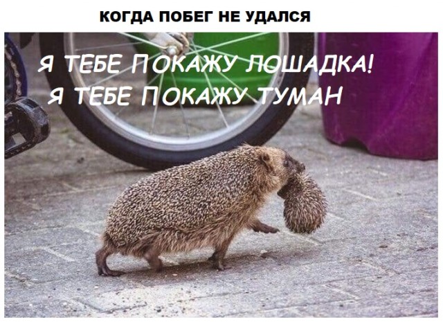 15651091.jpg
