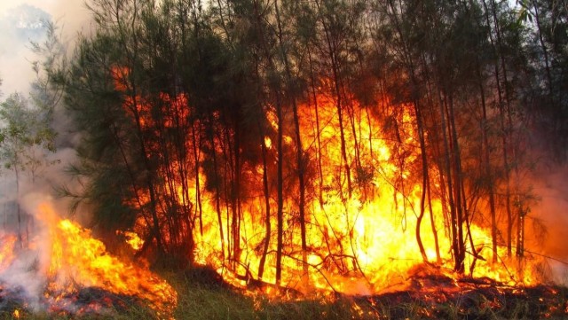 Дымное жаркое небо: Якутия снова в огне