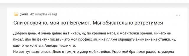 Если ТАМ нет моего Бро, я не хочу ТУДА