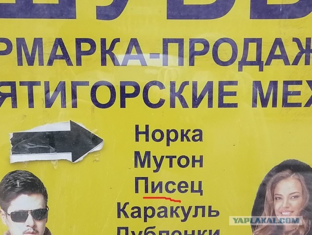 Забавные шутки, картинки и фразы из этих ваших интернетов 27.10.2021