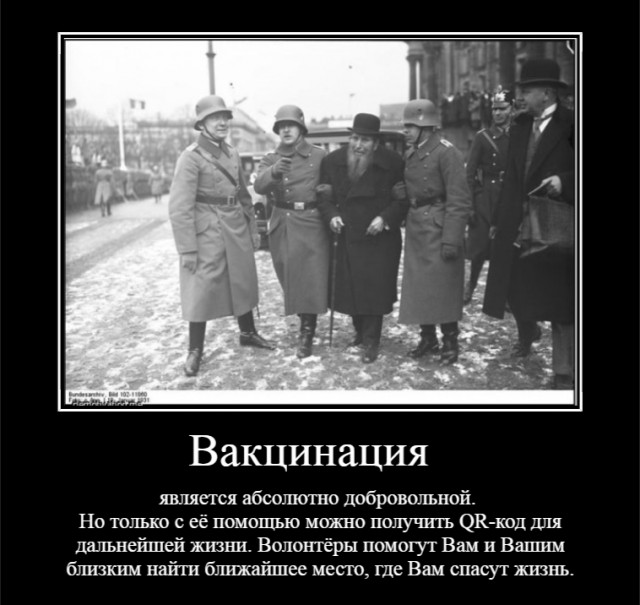 «Это война»: депутат ГД Вассерман призвал «разбираться» с антипрививочниками «по законам военного времени»