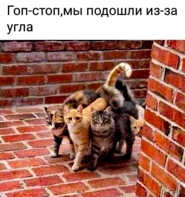 Картинки и мемы для настроения 23.11.2021