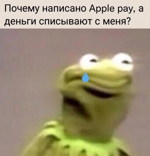 Человек собаке друг и другие картинки под настроение 13.01.2022