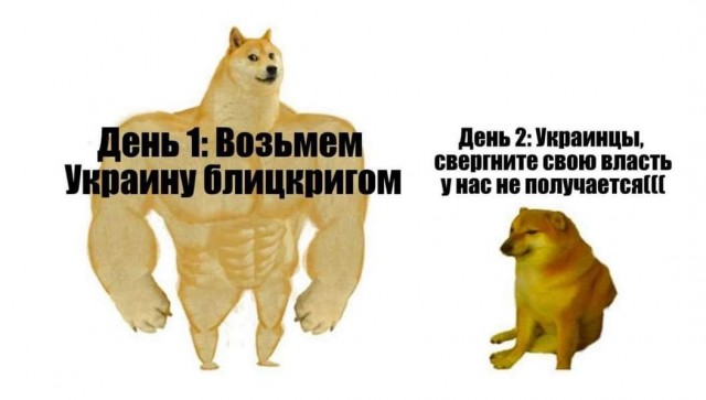 Разница между Бендеры и бандера