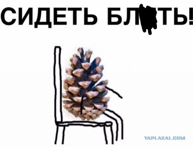 Зрелость&Спелость