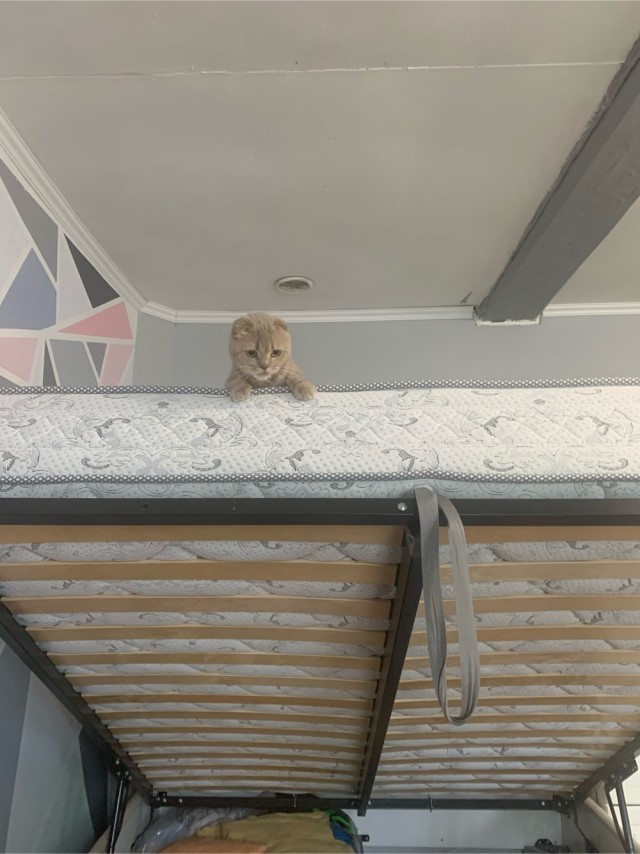 Кот д’Ивуар