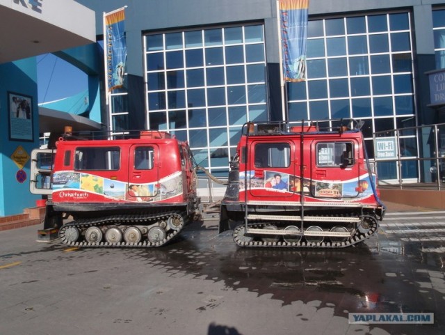 На машине по Новой Зеландии