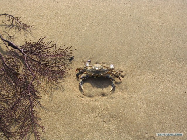 Путешествие в Сьерра-Леоне