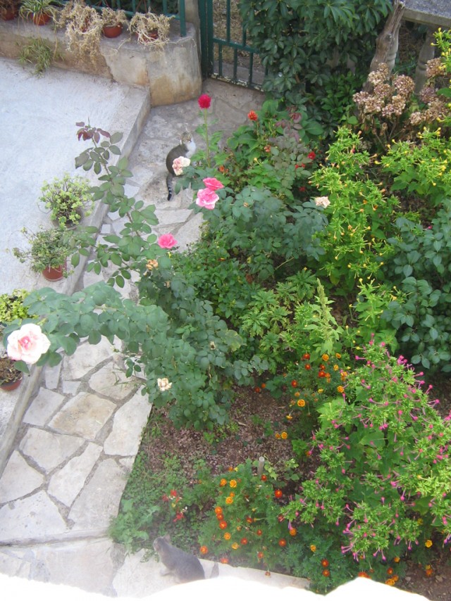 Отдых в Черногории (сентябрь 2012)