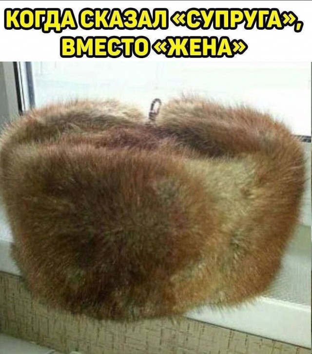 Свинегрет: ккартинки, надписи и прочее "на" #34