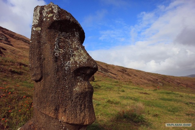 Южно-Американский дневник. остров Пасхи