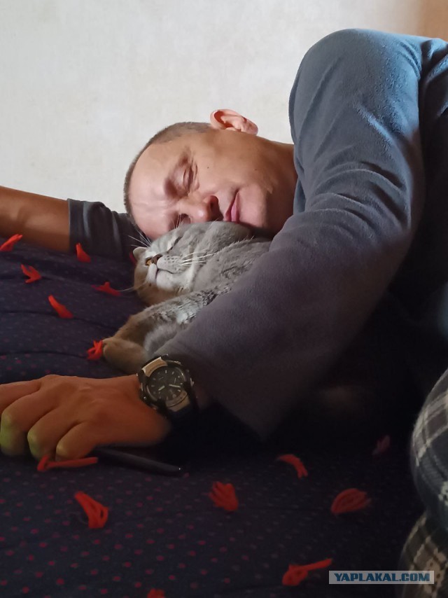 А как вы спите с котиком?