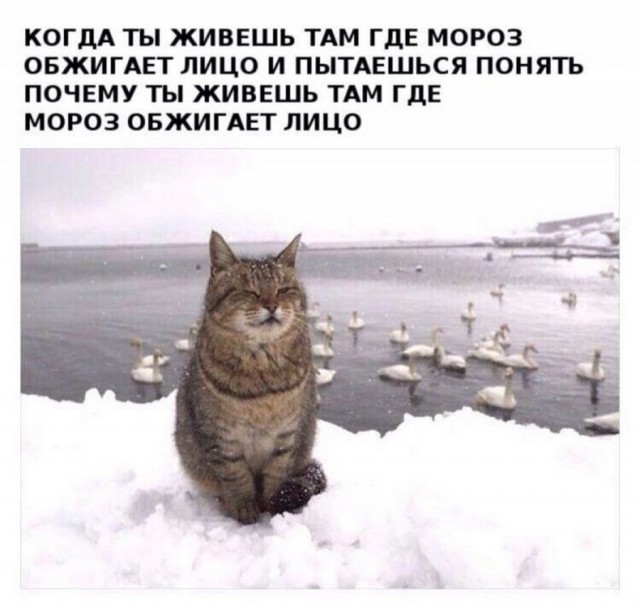 Девушка, которая живет в отдаленной деревне на Аляске, час летит на самолете за продуктами