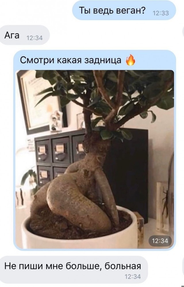 Так себе картинки 22.01.23