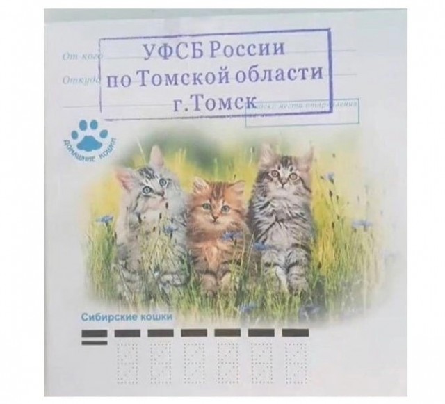 Так себе картинки 25.01.2023