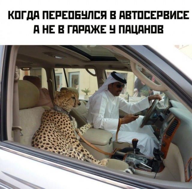 Картинки и мемы для настроения - 131
