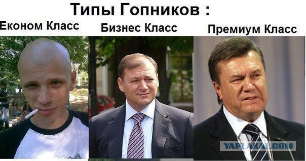 Класификация гопников.......