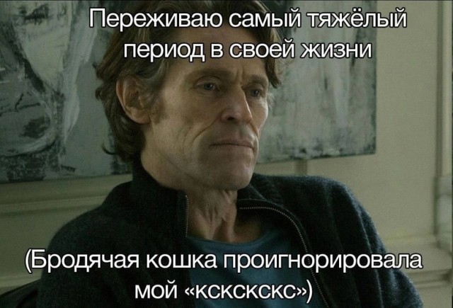 Весёлый полтишок 21.08.23