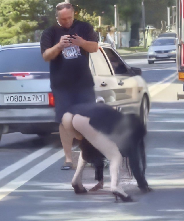 В Ростове-на-Дону девушка в полном неадеквате ехала по встречке, пока очевидцы не остановили ее: дама не стояла на ногах