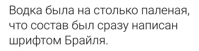 Весёлый полтишок 08.09.23