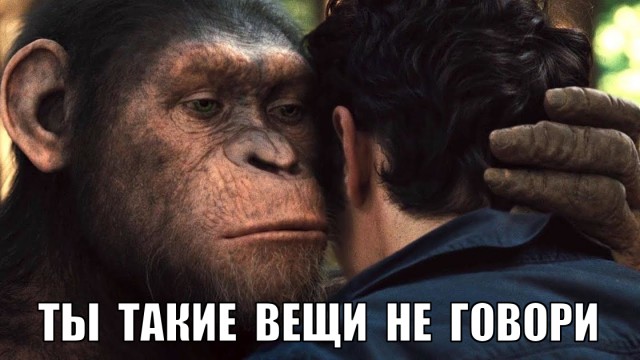 Как лапша видит вас