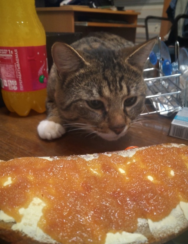 Дёмка вас желает видеть