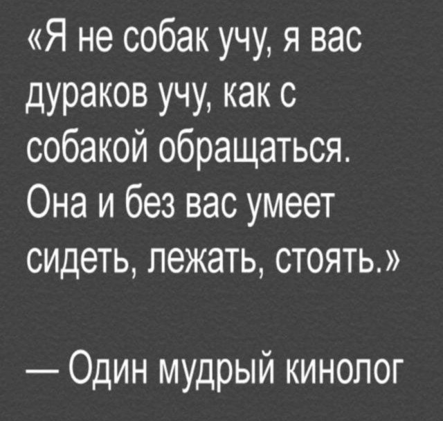 Бультерьер едва не загрыз свою хозяйку на востоке Москвы