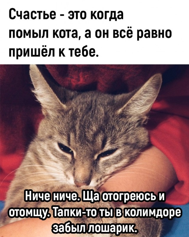 Так себе картинки 03.05.24