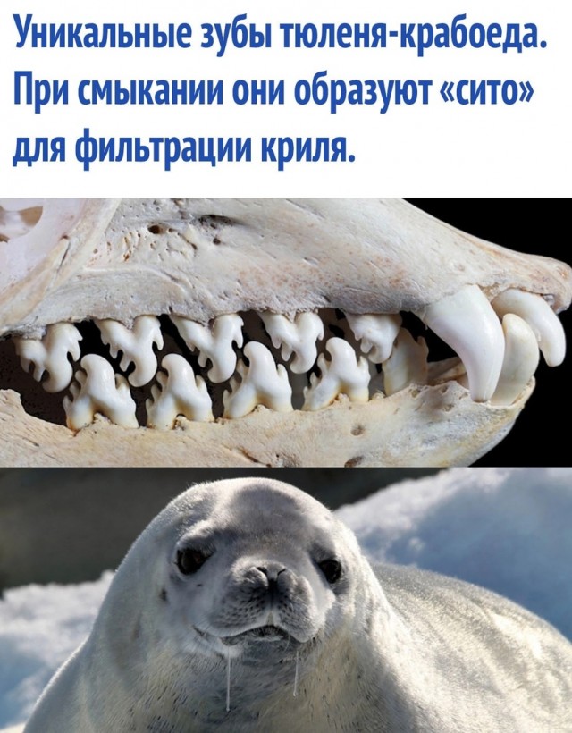 Так себе картинки 22.07.24