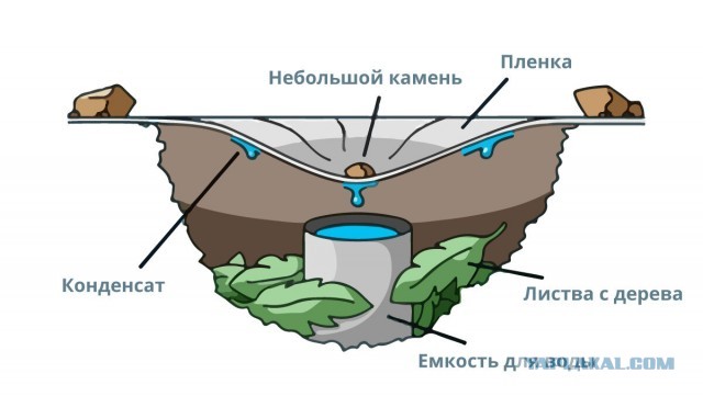 Российские инженеры создали автономный комплекс, который делает воду из воздуха