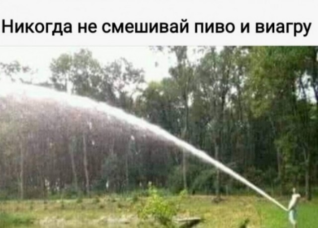 Так себе картинки 13.10.24