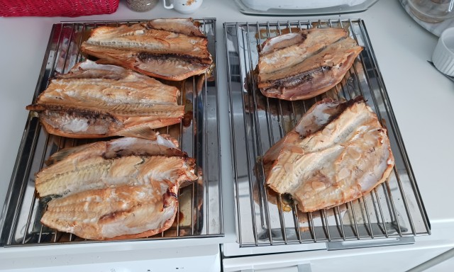 Пошли судаки!