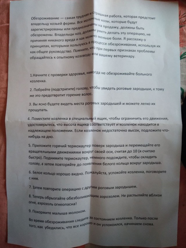 Веселая ферма. Мое первое обезроживание козленка