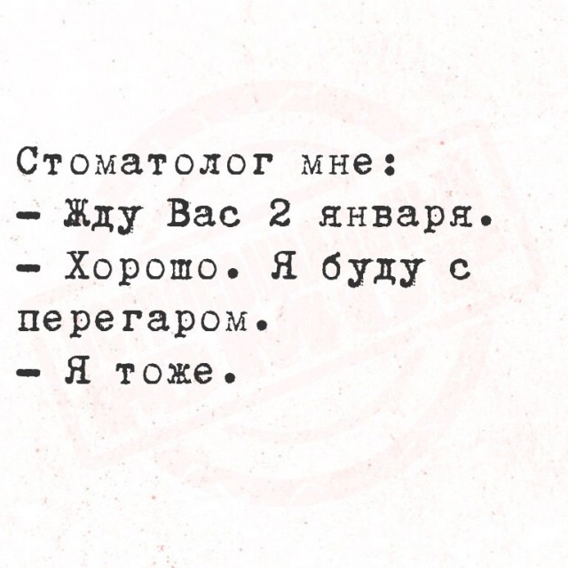 Весёлый полтишок 29.12.24