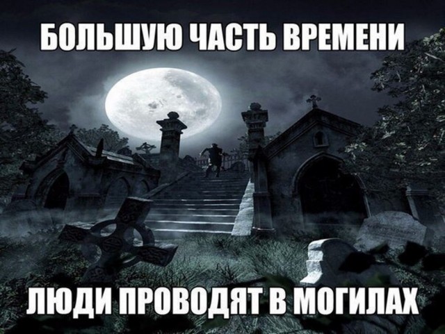 Подборка веселых картинок